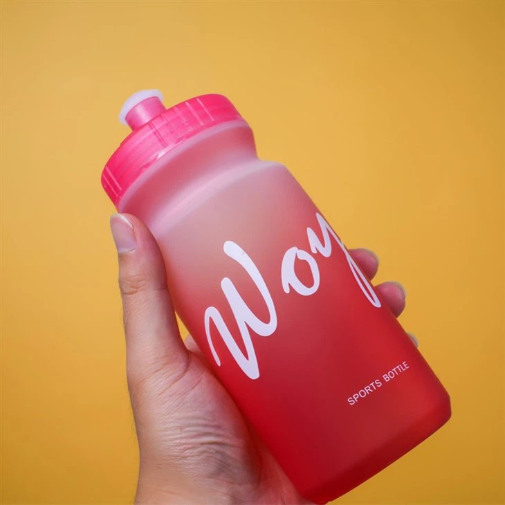 BPA Free 500ml Customized Logo Color Plastic Water Bottle For Bike